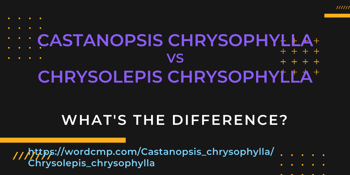 Difference between Castanopsis chrysophylla and Chrysolepis chrysophylla