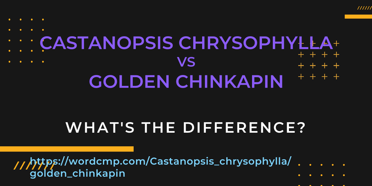 Difference between Castanopsis chrysophylla and golden chinkapin