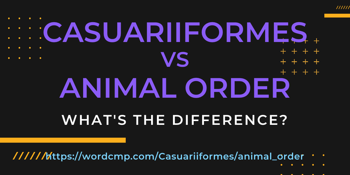 Difference between Casuariiformes and animal order