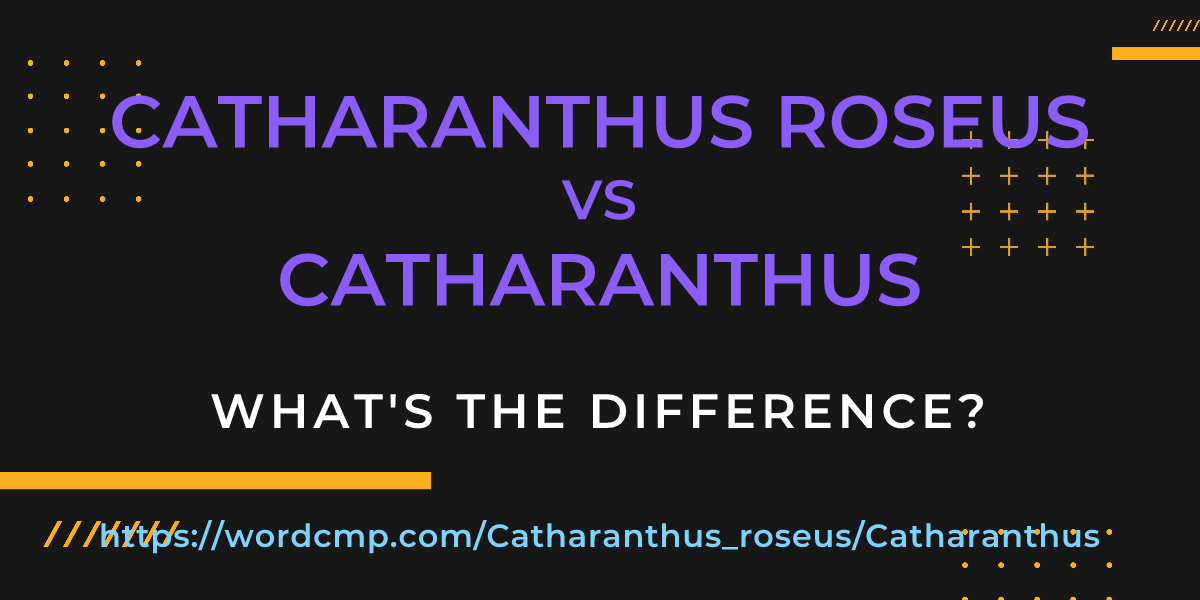 Difference between Catharanthus roseus and Catharanthus