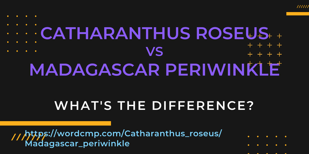 Difference between Catharanthus roseus and Madagascar periwinkle