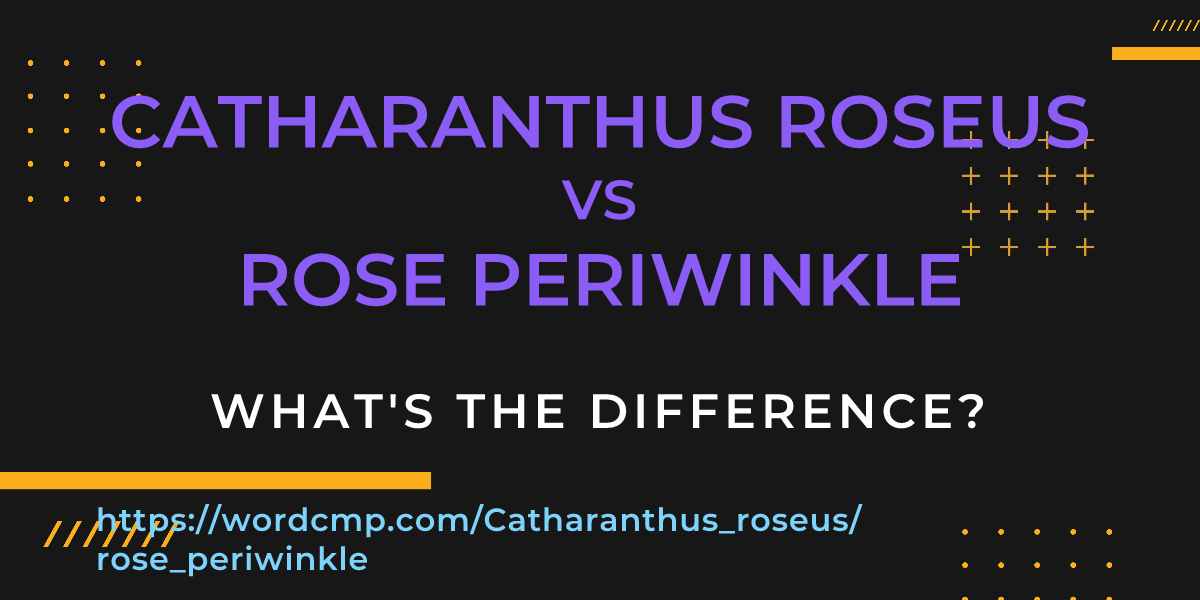 Difference between Catharanthus roseus and rose periwinkle