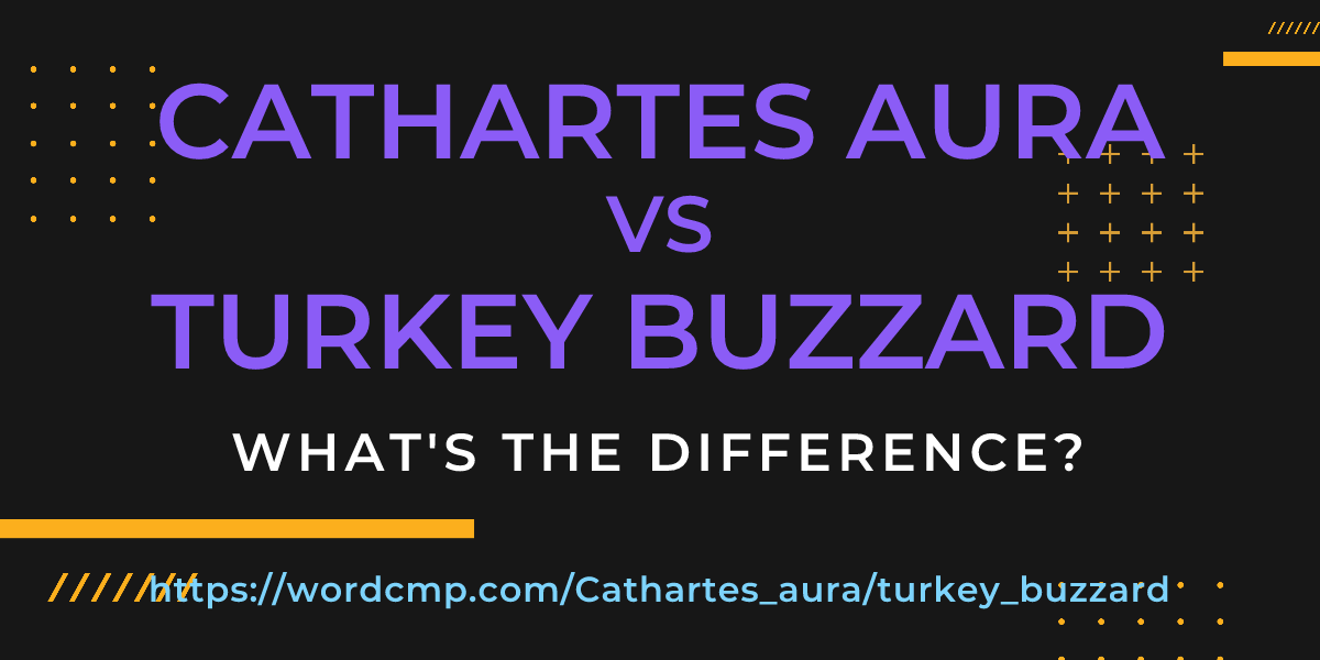 Difference between Cathartes aura and turkey buzzard