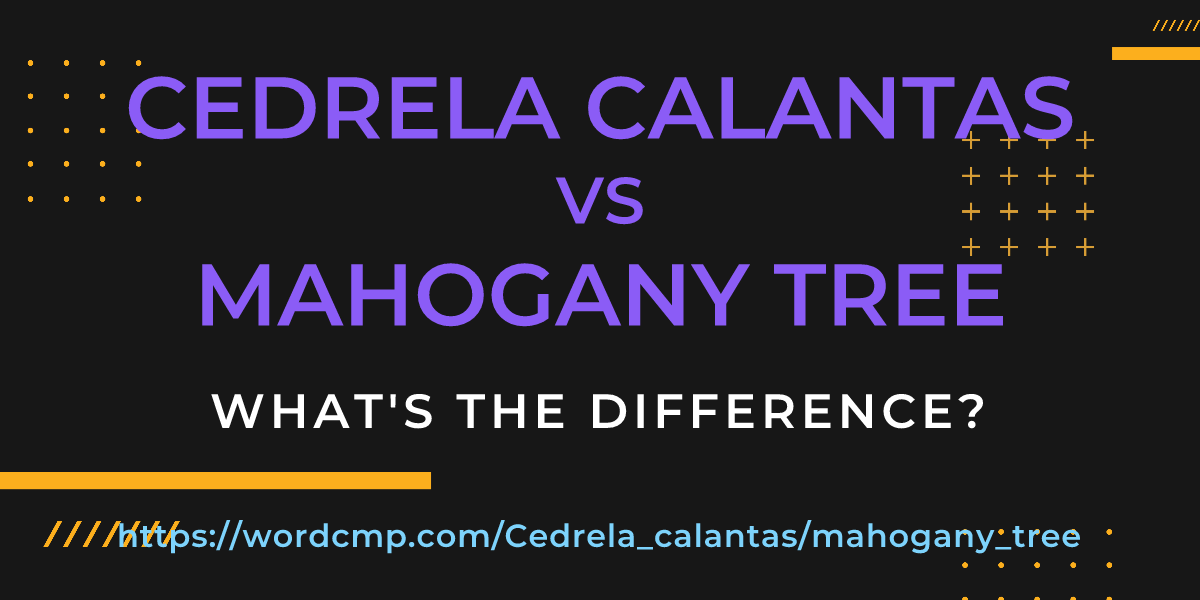 Difference between Cedrela calantas and mahogany tree