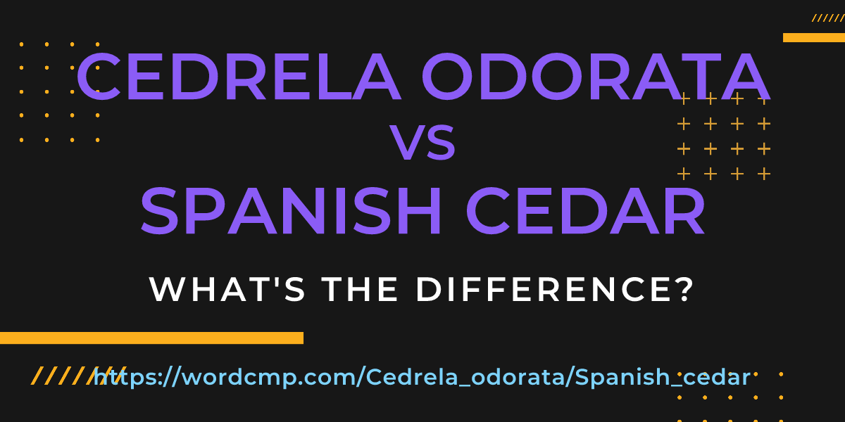 Difference between Cedrela odorata and Spanish cedar