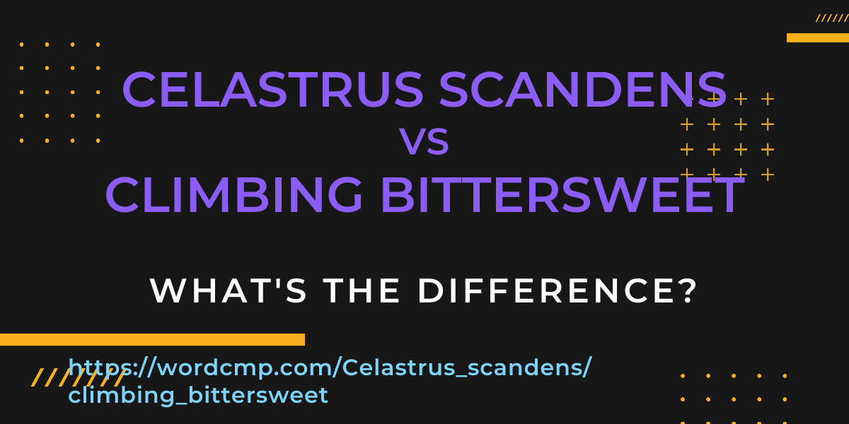 Difference between Celastrus scandens and climbing bittersweet