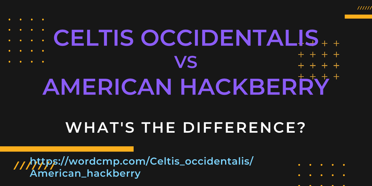 Difference between Celtis occidentalis and American hackberry