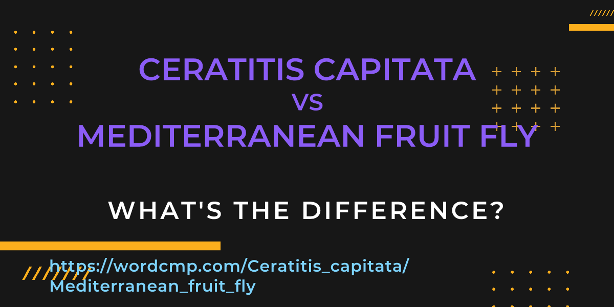 Difference between Ceratitis capitata and Mediterranean fruit fly