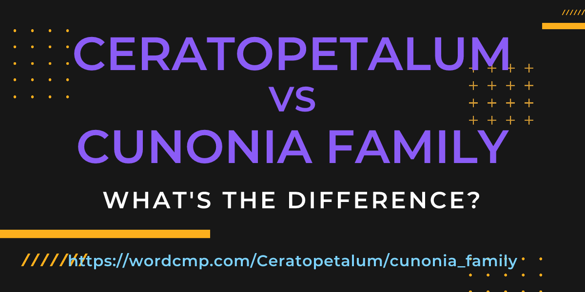 Difference between Ceratopetalum and cunonia family