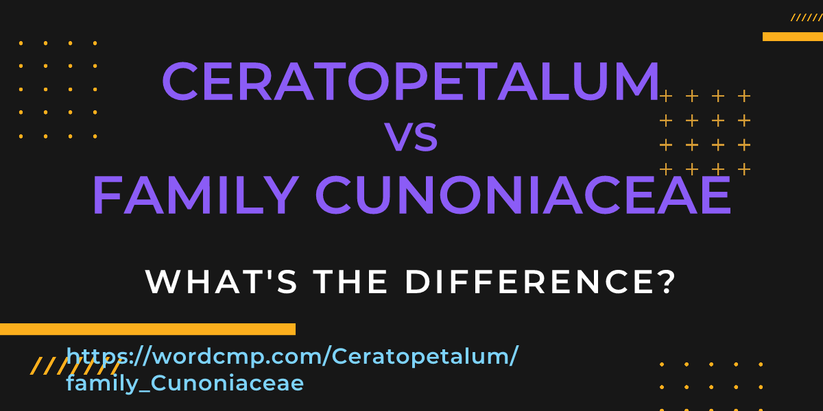 Difference between Ceratopetalum and family Cunoniaceae