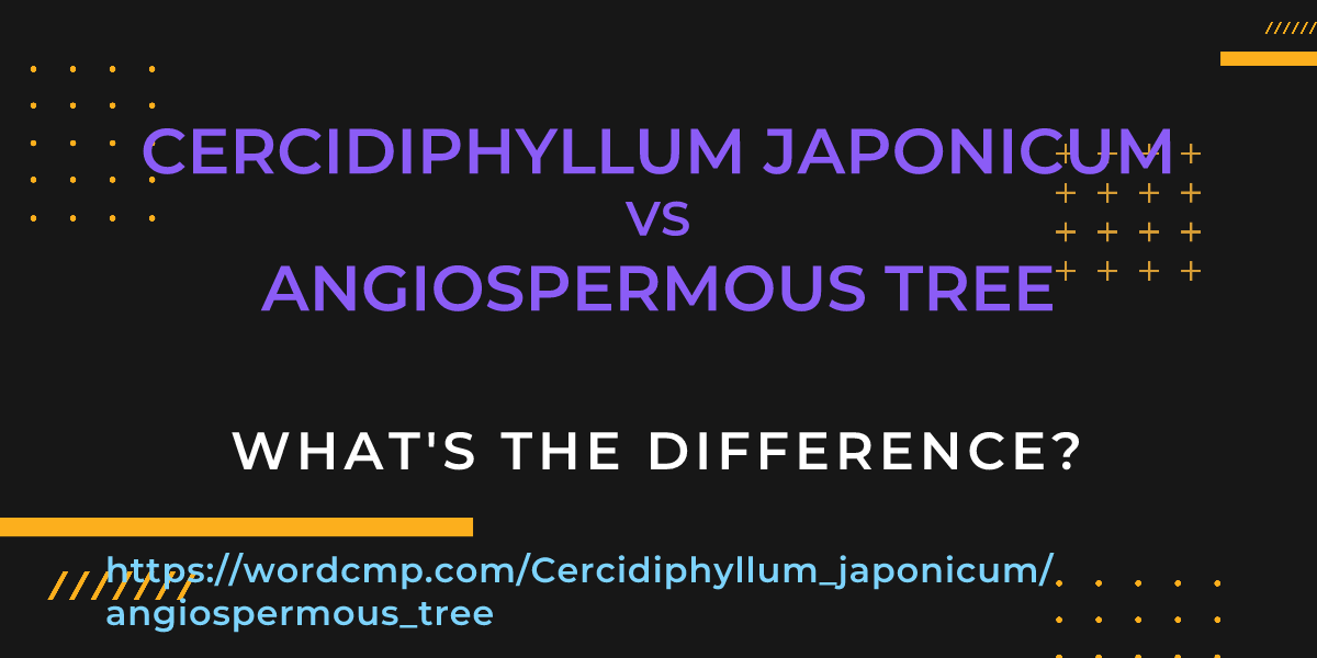 Difference between Cercidiphyllum japonicum and angiospermous tree