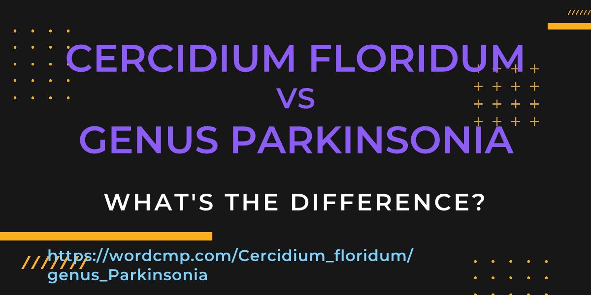 Difference between Cercidium floridum and genus Parkinsonia