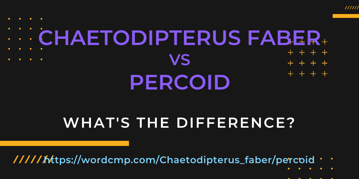 Difference between Chaetodipterus faber and percoid