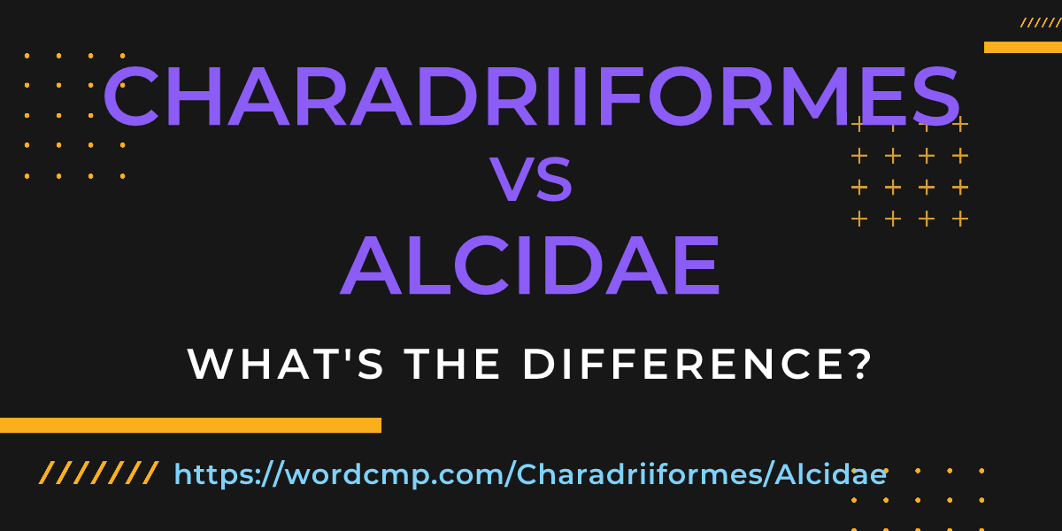 Difference between Charadriiformes and Alcidae