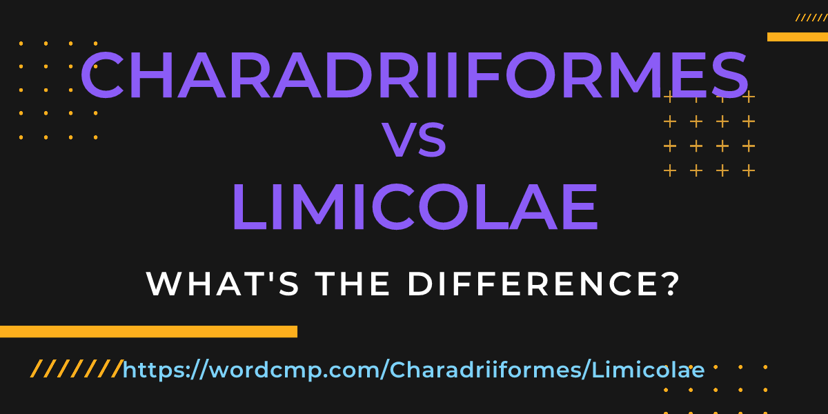 Difference between Charadriiformes and Limicolae
