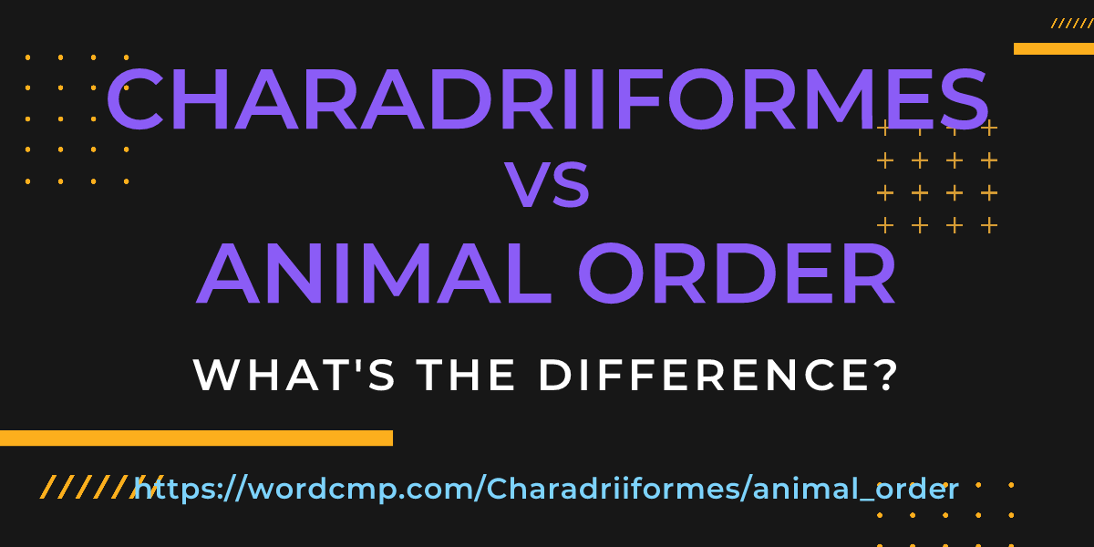 Difference between Charadriiformes and animal order