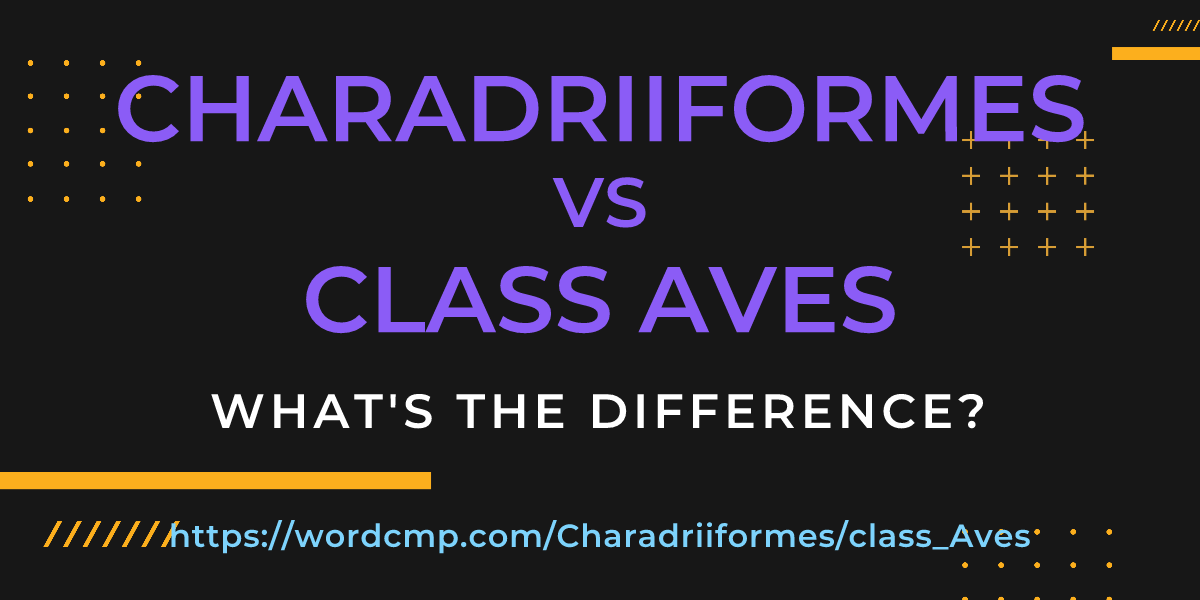 Difference between Charadriiformes and class Aves