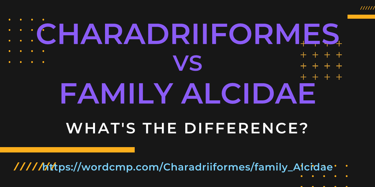 Difference between Charadriiformes and family Alcidae