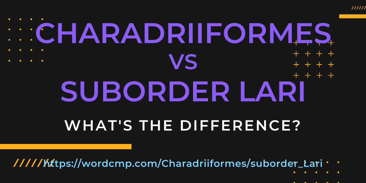 Difference between Charadriiformes and suborder Lari