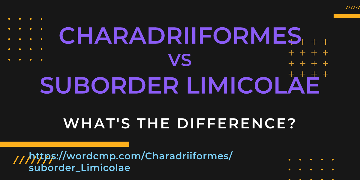 Difference between Charadriiformes and suborder Limicolae