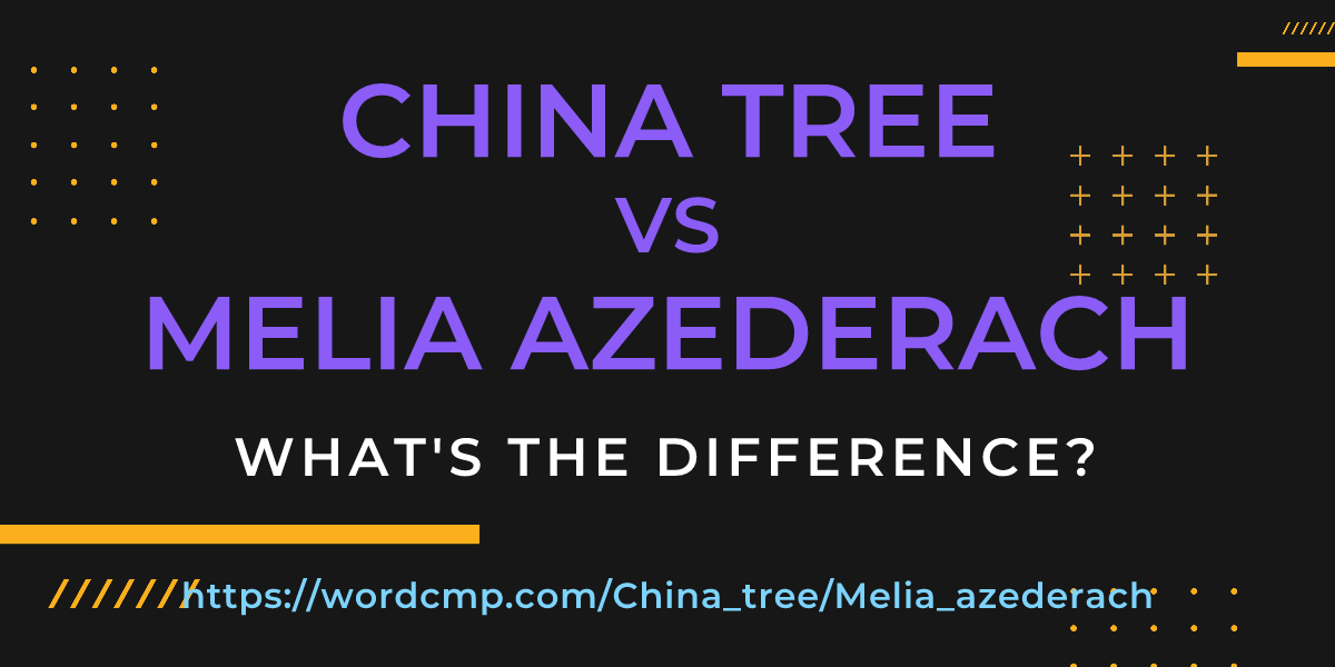 Difference between China tree and Melia azederach