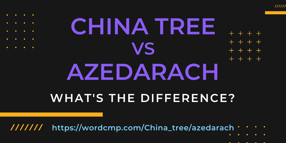 Difference between China tree and azedarach