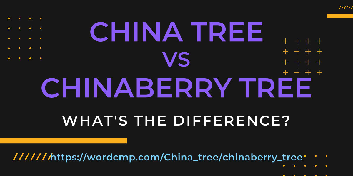 Difference between China tree and chinaberry tree