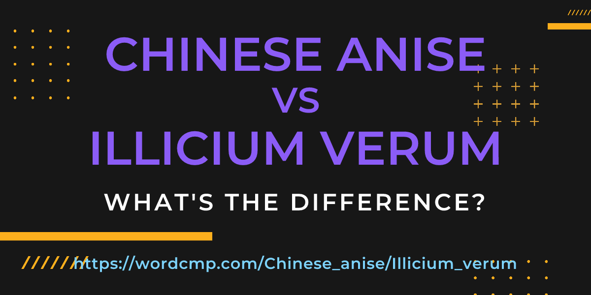 Difference between Chinese anise and Illicium verum