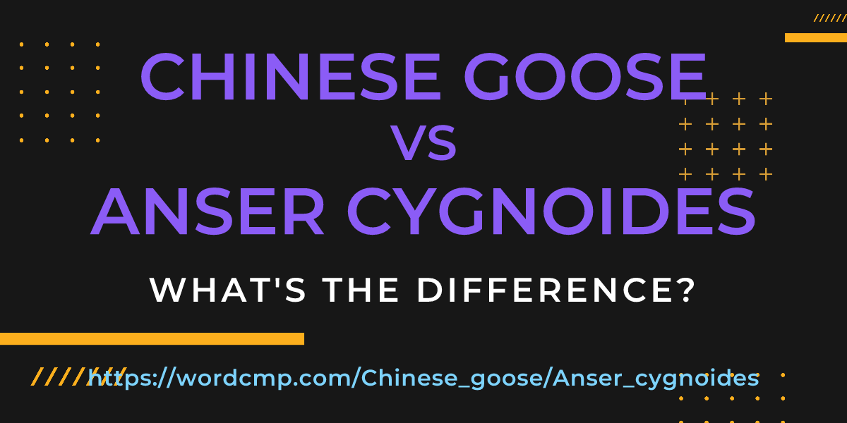 Difference between Chinese goose and Anser cygnoides