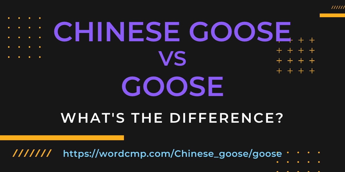 Difference between Chinese goose and goose