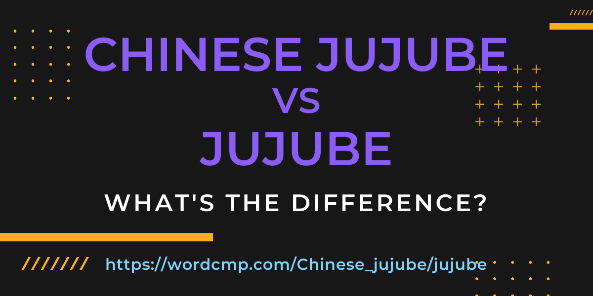 Difference between Chinese jujube and jujube