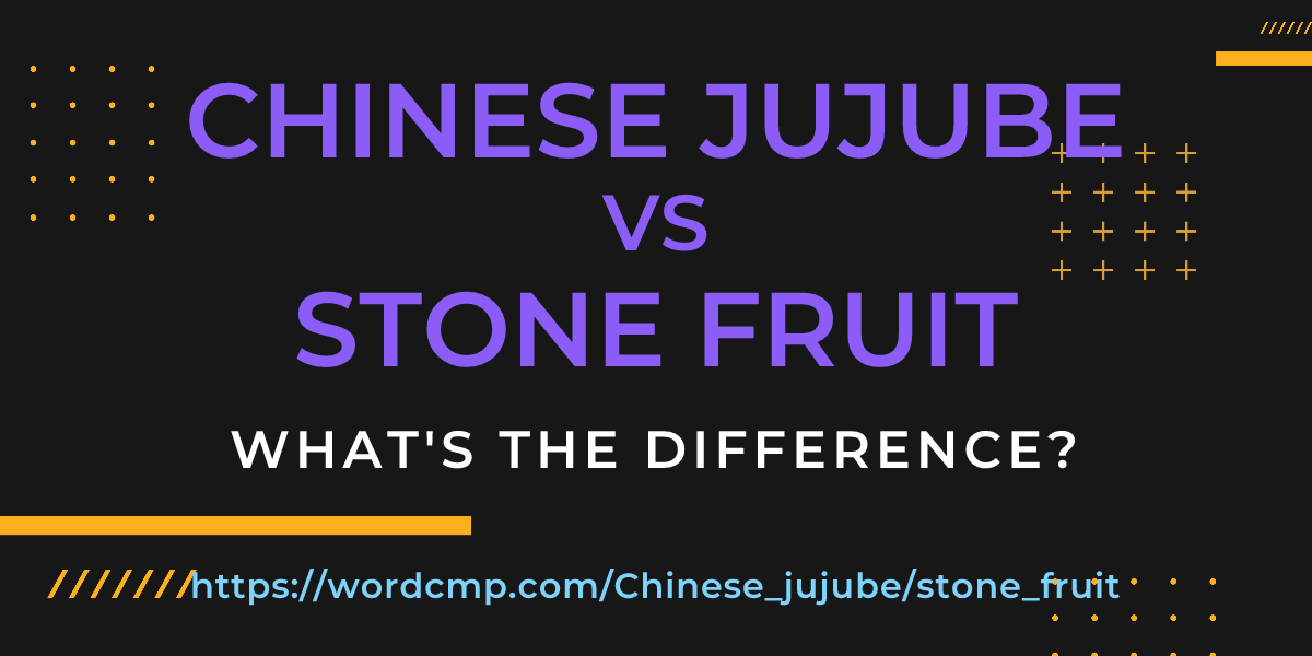 Difference between Chinese jujube and stone fruit