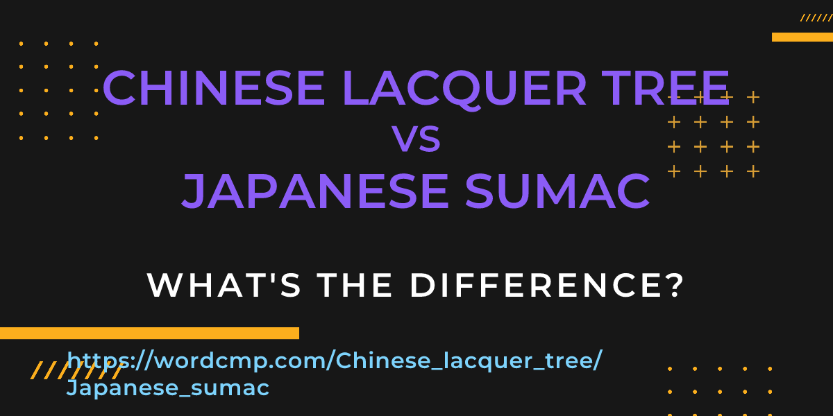 Difference between Chinese lacquer tree and Japanese sumac
