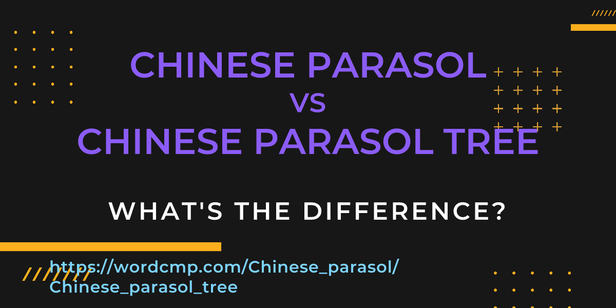 Difference between Chinese parasol and Chinese parasol tree