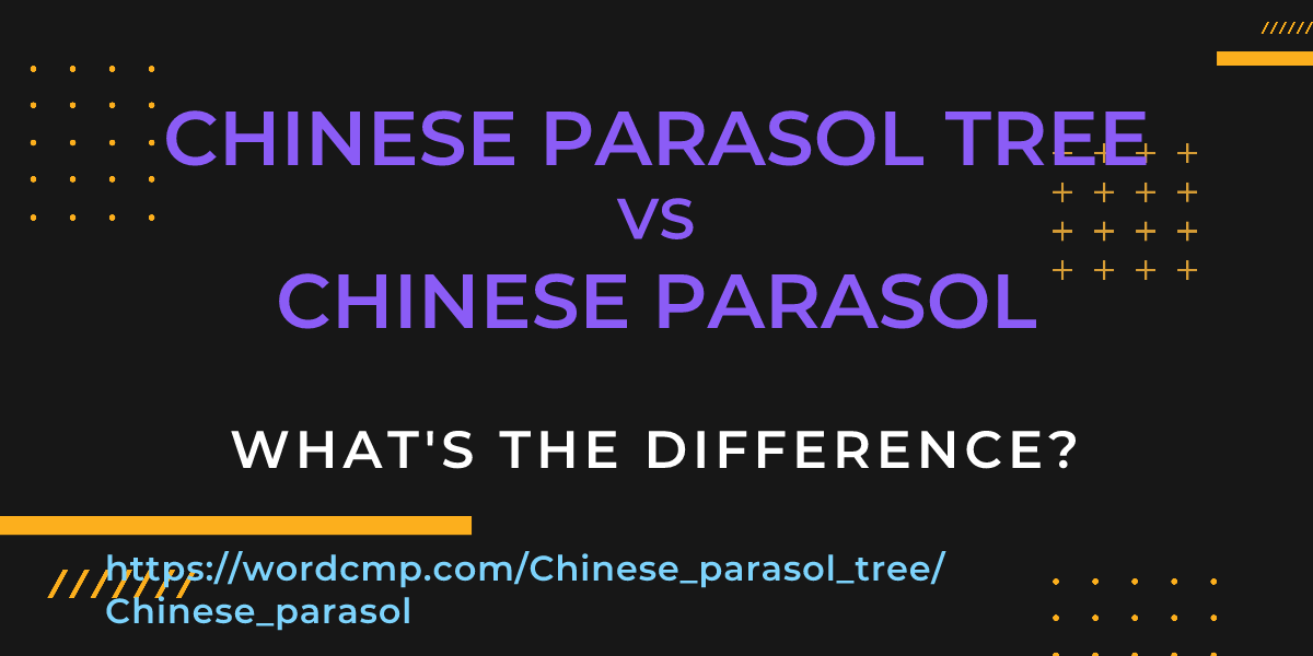 Difference between Chinese parasol tree and Chinese parasol