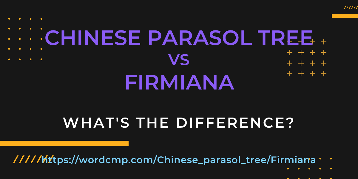 Difference between Chinese parasol tree and Firmiana