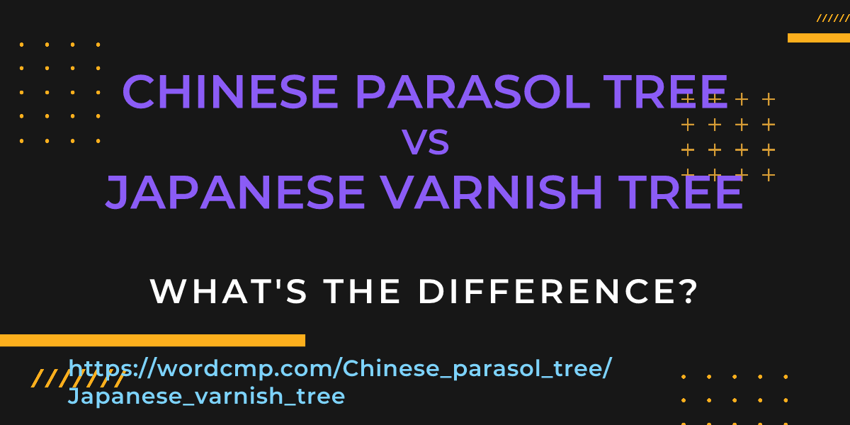 Difference between Chinese parasol tree and Japanese varnish tree