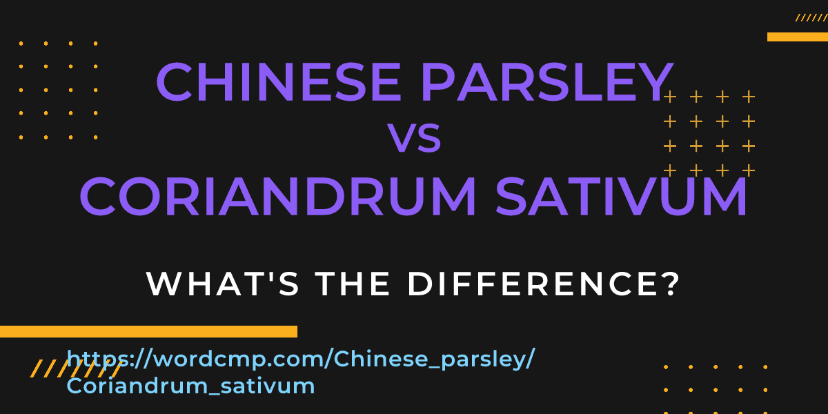 Difference between Chinese parsley and Coriandrum sativum