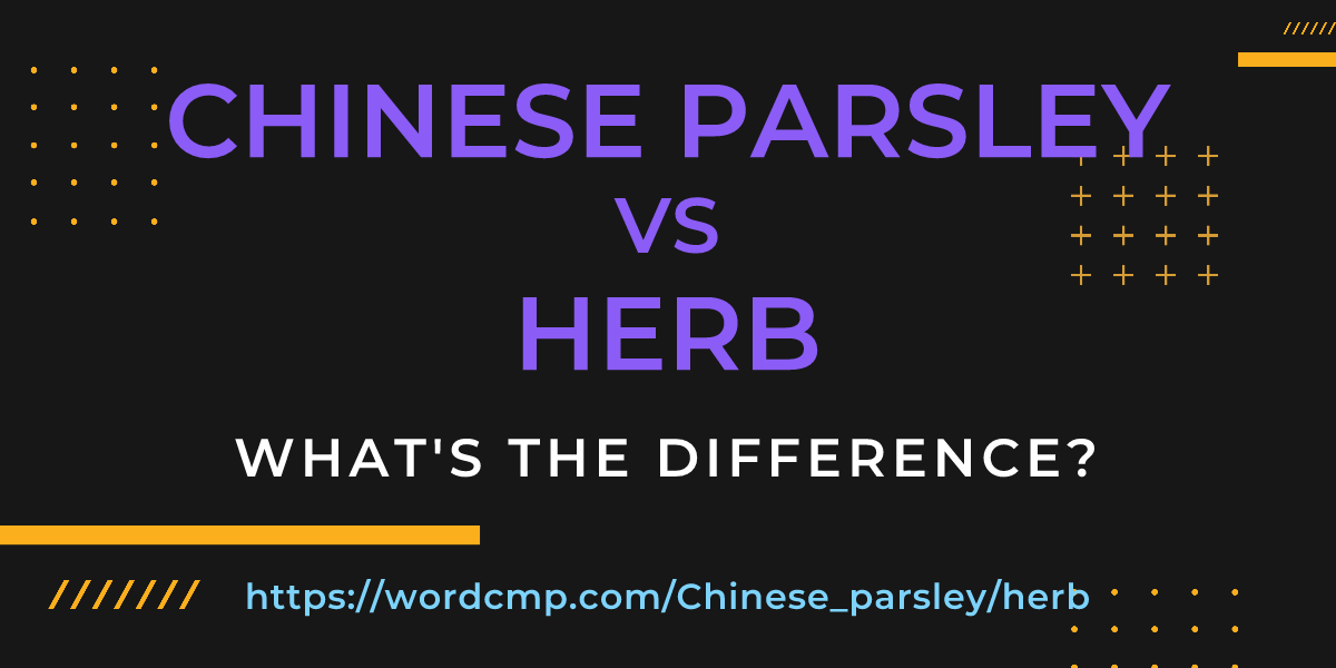 Difference between Chinese parsley and herb
