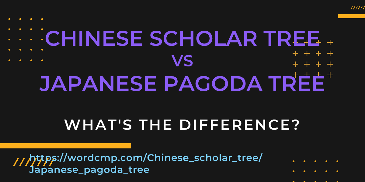 Difference between Chinese scholar tree and Japanese pagoda tree