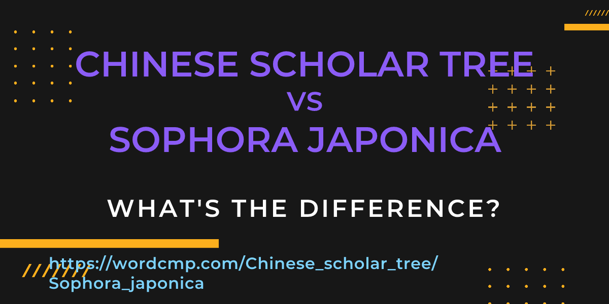 Difference between Chinese scholar tree and Sophora japonica