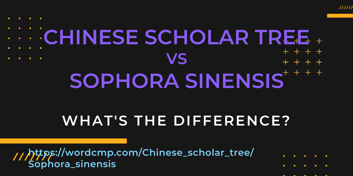 Difference between Chinese scholar tree and Sophora sinensis