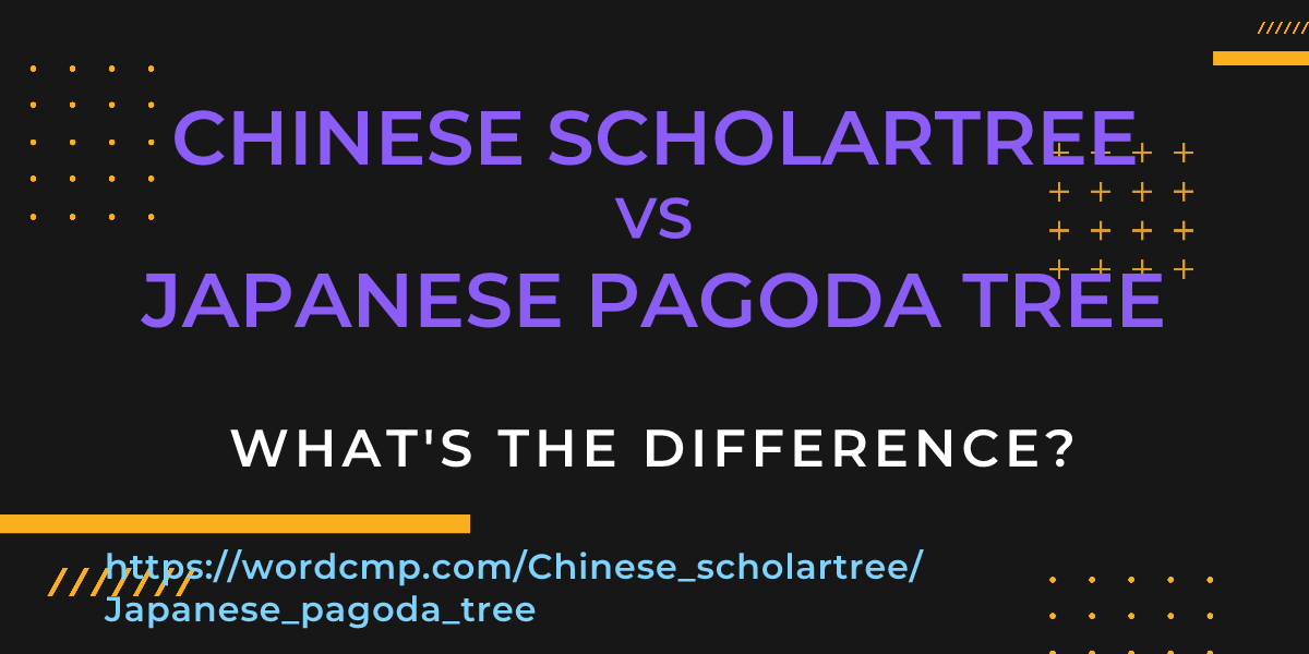 Difference between Chinese scholartree and Japanese pagoda tree