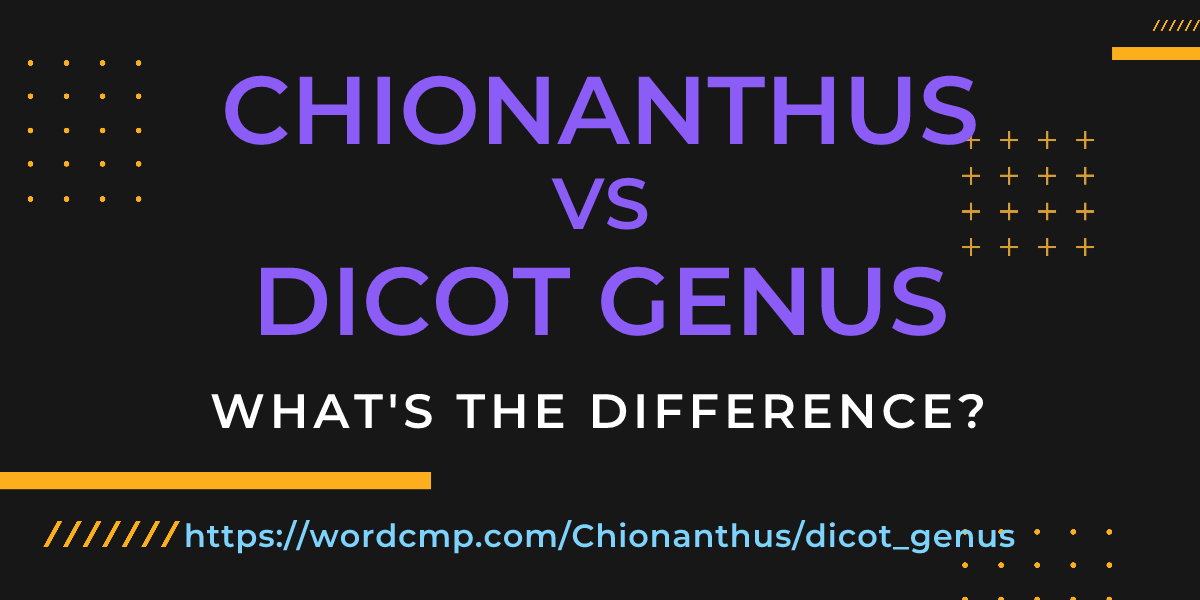 Difference between Chionanthus and dicot genus