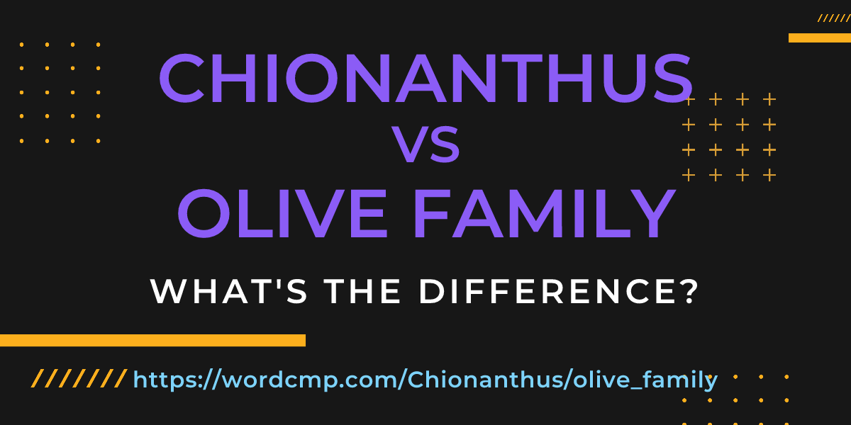 Difference between Chionanthus and olive family