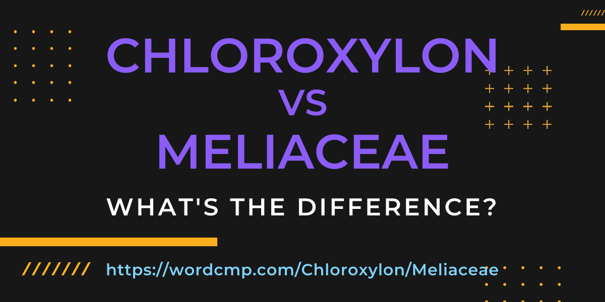 Difference between Chloroxylon and Meliaceae