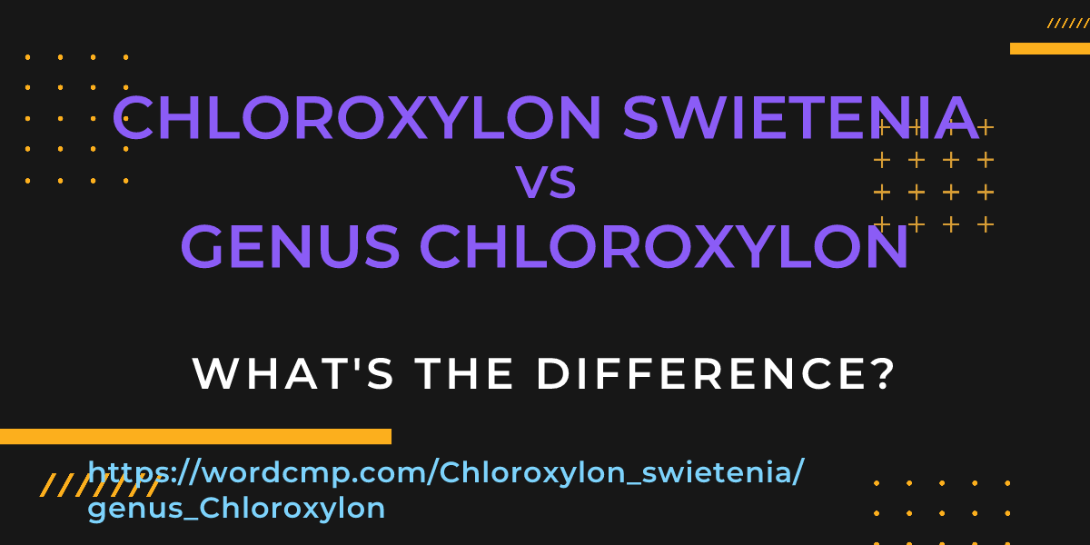 Difference between Chloroxylon swietenia and genus Chloroxylon