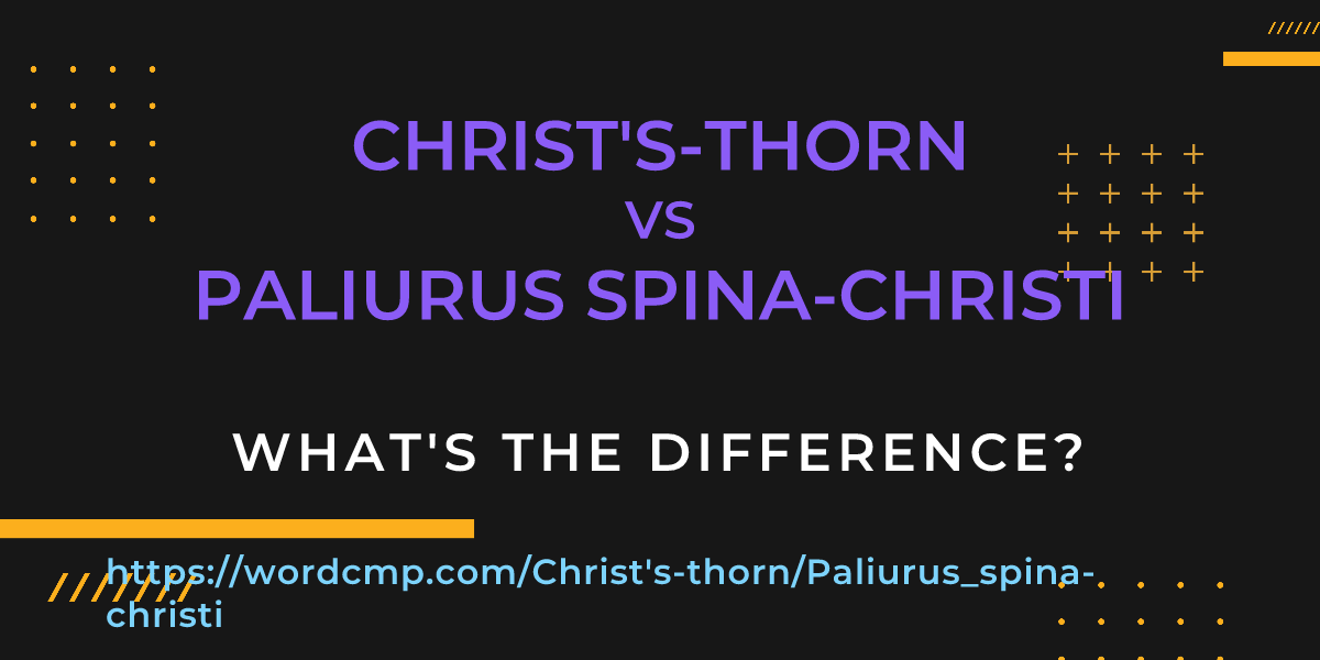 Difference between Christ's-thorn and Paliurus spina-christi