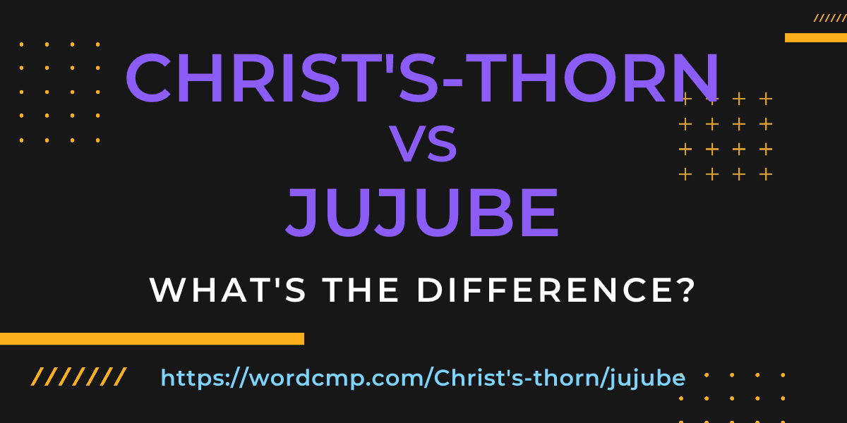Difference between Christ's-thorn and jujube