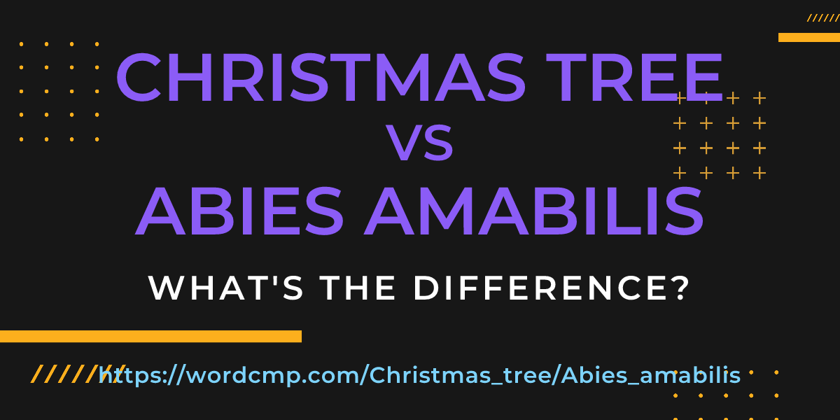 Difference between Christmas tree and Abies amabilis